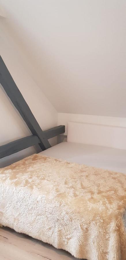 Joanna Apartment - Worms Dış mekan fotoğraf